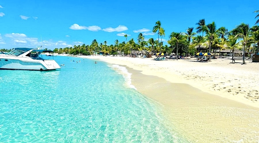 Saona Island Tour Punta Cana